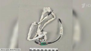 ФСБ обезвредила преступников, которые готовили взрыв на Троекуровском кладбище