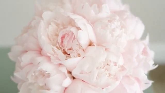 Гаряев-Матрицы.РФ__Изменить жизнь, откорректировать судьбу реально Медитация для самостоятельной смотреть онлайн