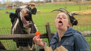 РУССКИЕ НЕ СДАЮТСЯ!!! РУССКИЕ ПРИКОЛЫ НА РУТУБ 2025