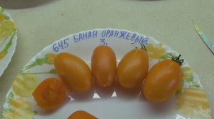 Лучшие томаты для консервации. Томат Банан оранжевый. №645. Обзор сорта. 2021 год.