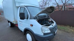 VID_20251112_162530.mp4