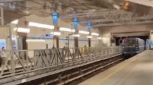 Перегон | Проспект Просвещения-Парнас