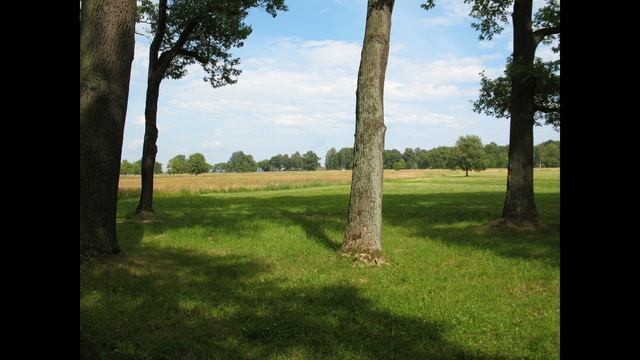 Александрия  23 июля 2014