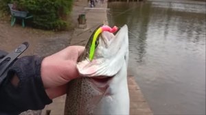 Утро на Нижнем. Клёвое место Лосиный остров.