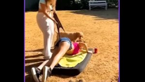 Смешные и Забавные Видео. Приколы, снятые на Камеру!