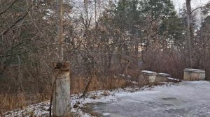 14-11-2025   к психиатру пошла на приём