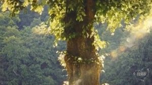 Слушать рассказ  - Как боль превратилась в счастье.- Удивительные истории из жизни