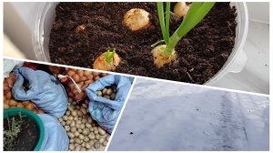 Рутуб чудит😲 Ловим непрошенных гостей🪤 Чтоб ложка стояла😆