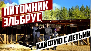 Отдых с детьми и собачками. Питомник Эльбрус. Катание на хаски