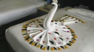 Египет 2025 . ОТДЫХ В ШАРМ ЭЛЬ ШЕЙХЕ . СКУЛЬПТУРЫ ИЗ ПОЛОТЕНЕЦ МАСТЕР КЛАСС