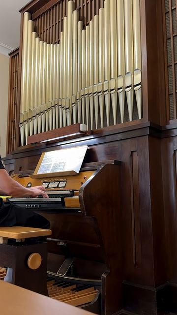 #bach #trisonata #bwv #bwv529 #organmusic #germanleonov смотреть онлайн