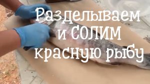 Камчатская Кета: от чистки до слабосоленого ЗАСОЛА. Разделываем и солим красную рыбу. #солимрыбу