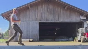 1 Hour of ADORABLE Animal Videos