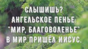 В мир пришёл Иисус - минус мой 1