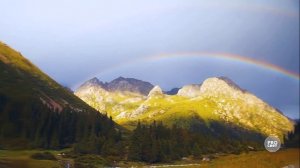 Возьмите на урок: Ф. Тютчева «Как неожиданно и ярко…»