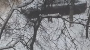 Белка Архив декабрь 2024. 34677521605403