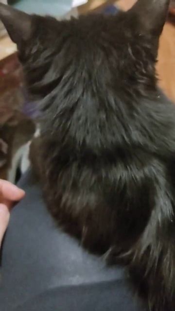 Получил по заслугам