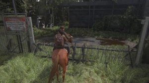 Одни из нас: Часть II - Ну ладно