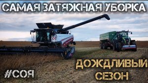Битва за урожай: как убирают сою, когда погода против! Комбайны торум 785 работают на износ.