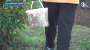 На Свято-Никольской площади высадят более 10 тысяч тюльпанов