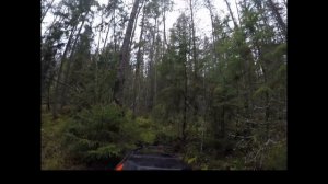 Не доехали 200 метров — оставили буксы в лесу!