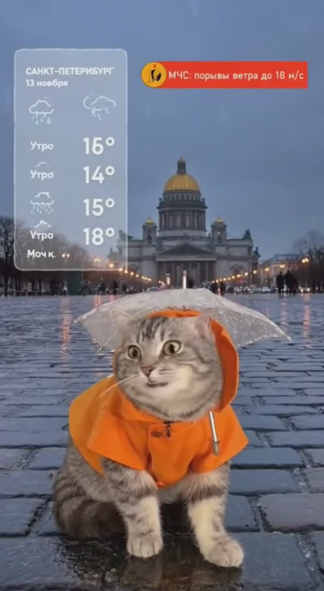 Прогноз погоды в Санкт-Петербурге на 13.11.2025