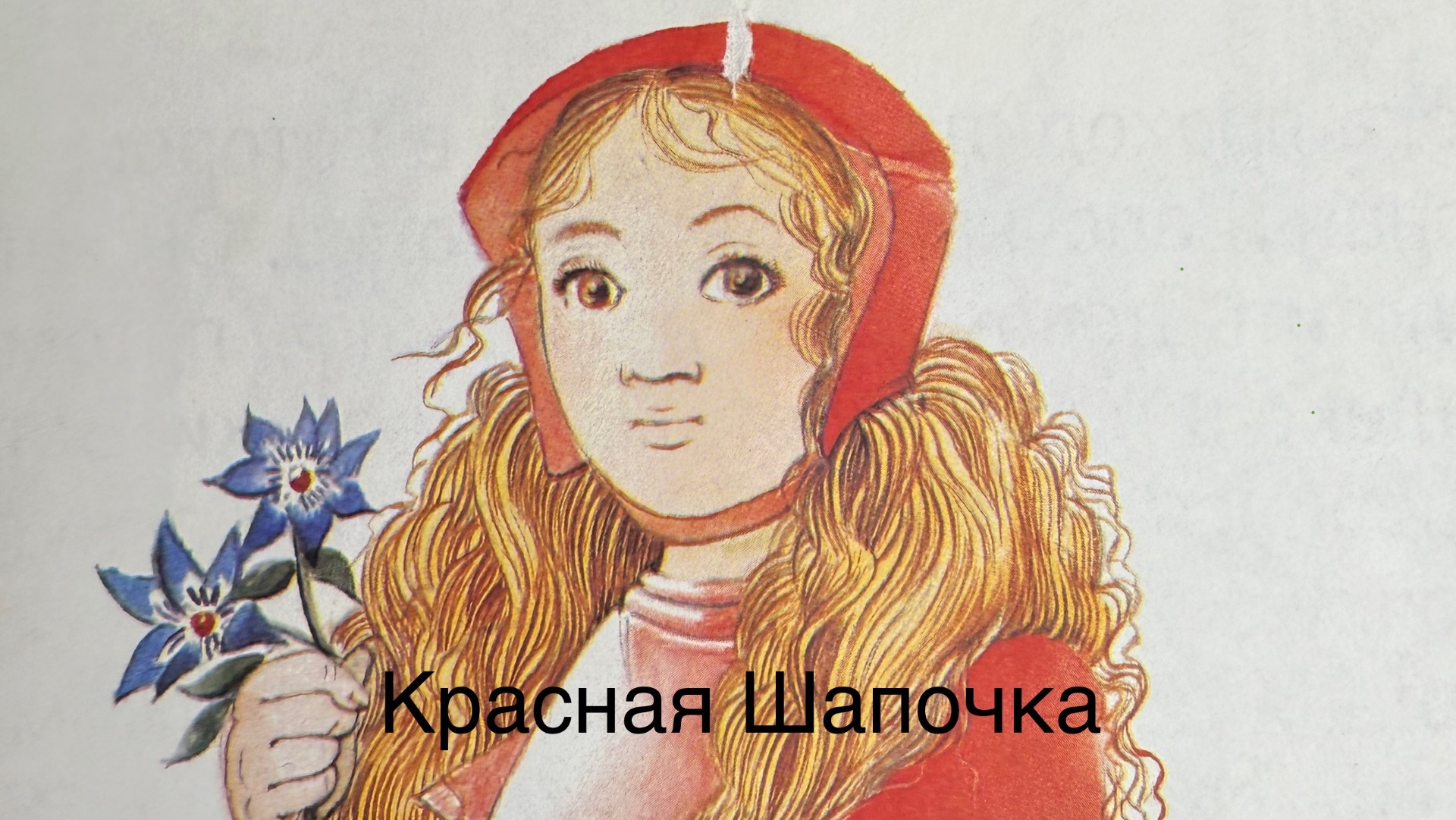 Сказка Красная Шапочка | Братья Гримм | Читаем вместе