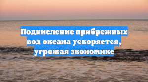 Подкисление прибрежных вод океана ускоряется, угрожая экономике