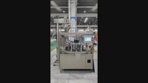 Флоупак машина для упаковки в готовые пакеты GDS 210-10 (SOONTRUE)