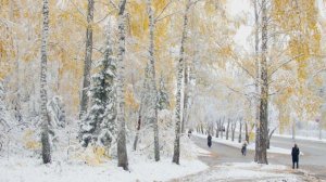 Я по тебе схожу с ума (лирический вариант) - стихи Виктора Левашова, Ярославль.