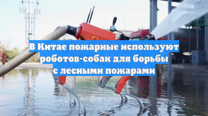 В Китае пожарные используют роботов-собак для борьбы с лесными пожарами