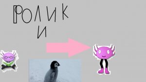 видео про кинето пет