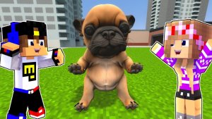 МЫ ПРИРУЧИЛИ и УСЫНОВИЛИ ЩЕНКА PIBBLE в МАЙНКРАФТ ДЕВУШКА НУБ ПРО ВИДЕО ТРОЛЛИНГ MINECRAFT Евгенбро