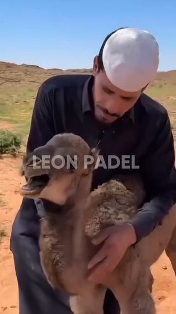 Как Вы относитесь к звуковому сопровождению удара?) Как Вам, когда кто то так делает в игре?) смотреть онлайн