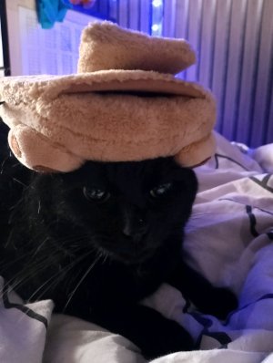 бебра 2 часть:)