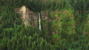 Восхитительная природа Dolby Vision С разрешением 8K HDR