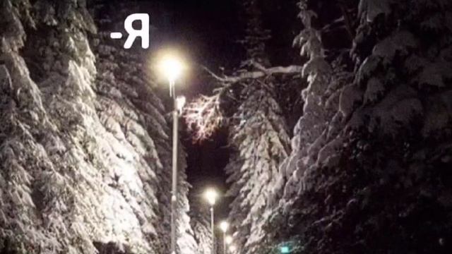 сделал сегодня утром с подругой