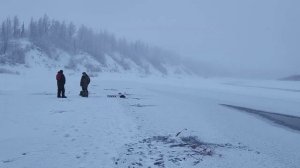 Ноябрьский хариус река Дудинка Норильск 2025