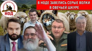 В НОДЕ завелись серые ВОЛКИ В ОВЕЧЬЕЙ ШКУРЕ! Радио НОД Егор Кобзев