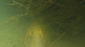 с. Замятино