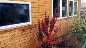 МЫ ТАК ПОДУМАЛИ И ОТКАЗАЛИСЬ !