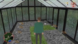 дм от никитки