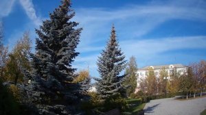 Архивный ролик от Еретнова В.Б. Городской пейзаж.