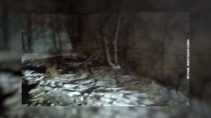 Дотянули до последнего. Прорыв от «Водоканала» затопил гаражи в Улан-Удэ