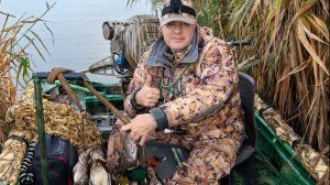 ПОЧЕМУ УТКА НАС БОИТСЯ