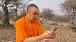 2025.11.13 - Парикрама. Холмы Варшаны - Е. С. Даяван Свами