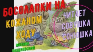 Михаил Пляцковский - Босолапки на кожаном ходу