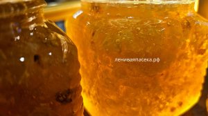 лениваяпасека