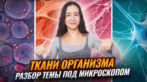 Ткани организма ПОД МИКРОСКОПОМ | Разбор темы + НАСТОЯЩИЕ ПРЕПАРАТЫ | Биология ЕГЭ | Умскул