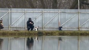 Онлайн с водоема